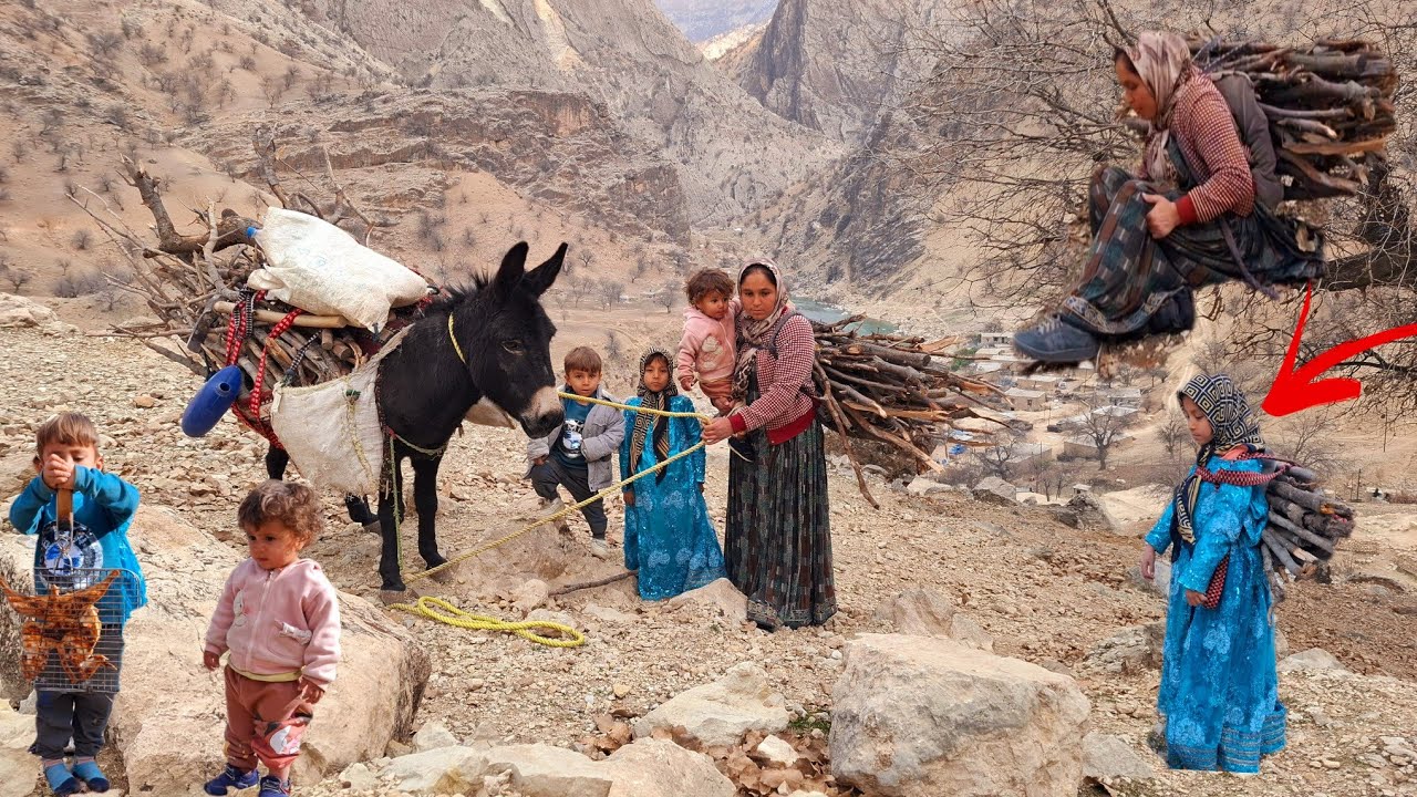 "The freezing cold of Zagros and the struggle of nomads: gathering firewood in the harshest winters"