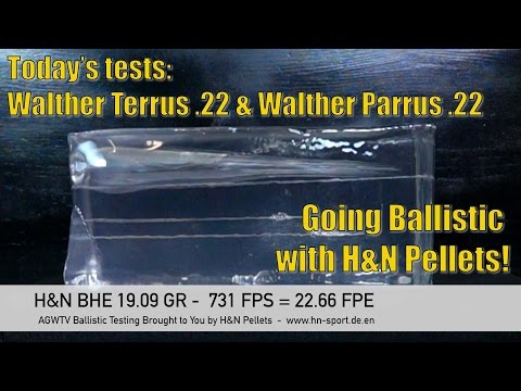Going Ballistic - Walther Terrus and Walther Parrus - AirgunWebTV Sponsored by H&N Pellets!