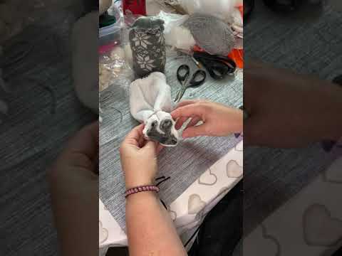 Make a one sock gnome or Gonk