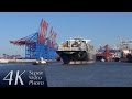 Hamburg Germany Waltershof Harbor MSC LAUREN 13000 TEU 366 M 4K Super Video Photo