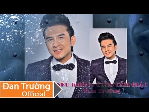Nếu không cùng cảm giác - Đan Trường