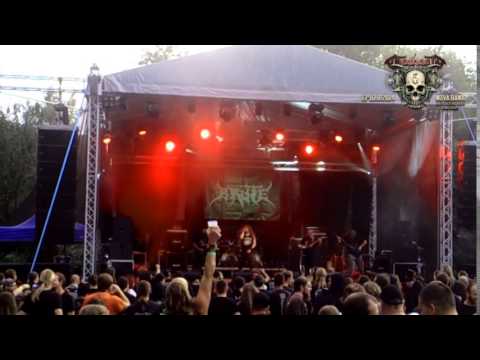 Brute - BRUTE - GOTHOOM 2014