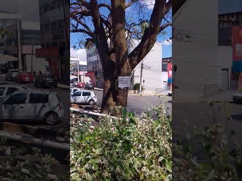 Cidade Ocidental, refúgio para a paz e alegria.