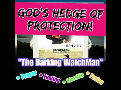 God Hedge of protection!