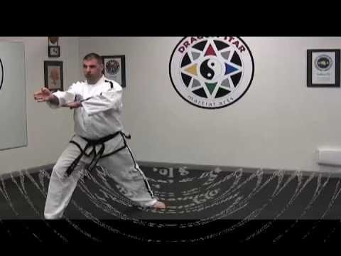 Dragon Star Martial Arts Promo