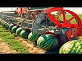 This Farmers Use Farming Machines You've Never Seen  - Incredible Ingenious Agriculture Inventions