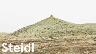 'Solitude was really necessary for me in relationship to what was around me' | Roni Horn