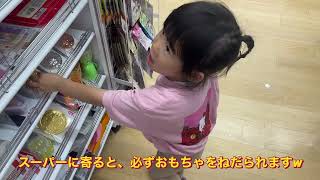 【vlog】一人娘と新米パパの休日ルーティーン！たくさん遊ぶ一人娘です！