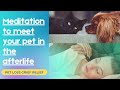 Guided meditation to meet you pet in the afterlife (pet loss)