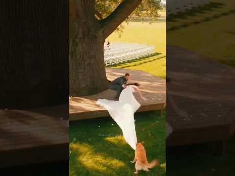 Labrador saves a couple 👰🏼🐕😱 #shorts