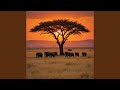 Africa My Home