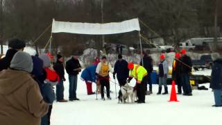 preview picture of video 'Rideau Lakes Cup - 2013 Skijoring Race'