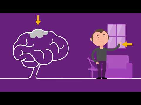 Animatiefilm: Weet jij hoe jouw hersenen werken?