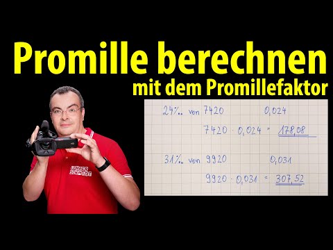 Calculating per mille (with factor) - simply explained - several exercises | Lehrerschmidt