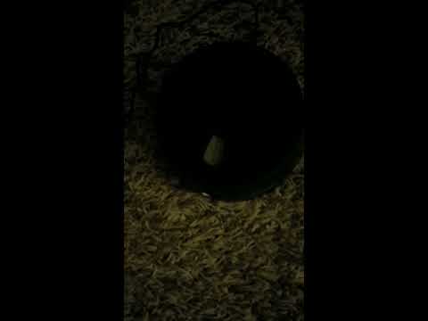 How to clean a blu ray disc hd