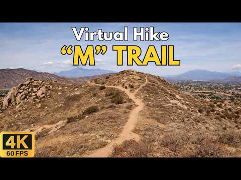 4K Treadmill Virtual Hike – M Trail at Box Springs Mountain | 74-Min Scenic POV Nature Walk