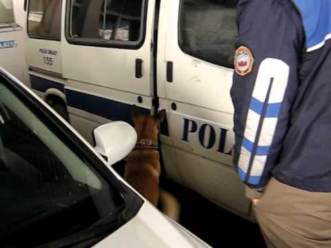 AKUT ESKİŞEHİR REX ARAMA KÖPEĞİ