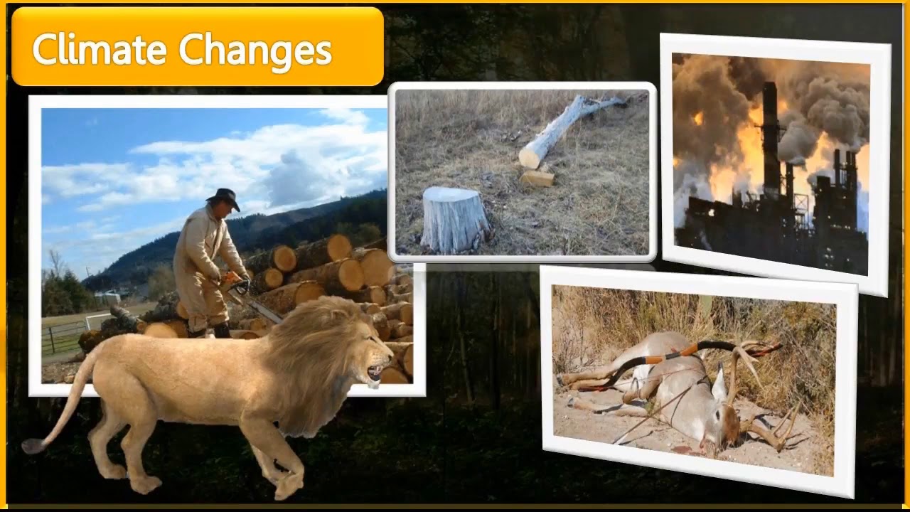 Conservation of Plants and Animals