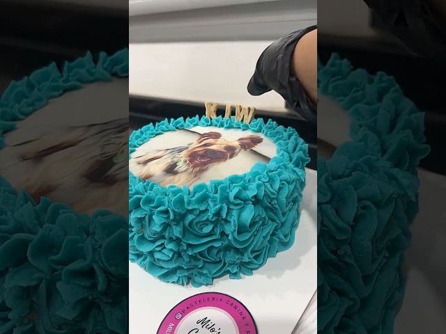 Vídeo relacionado con FLORMOON Figura de yak negro realista de animales figuras educativas tempranas para perros de juguete de ciencia proyecto de Navidad cumpleaños para tartas de cumpleaños para niños pequeños (negro)