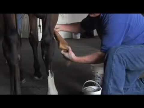 Sore No-More Cooling Clay Poultice (23 lb) Video