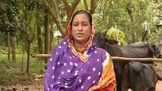 BRDB, Kaliakair, Gazipur\\'s Program with BTV. Part 2.