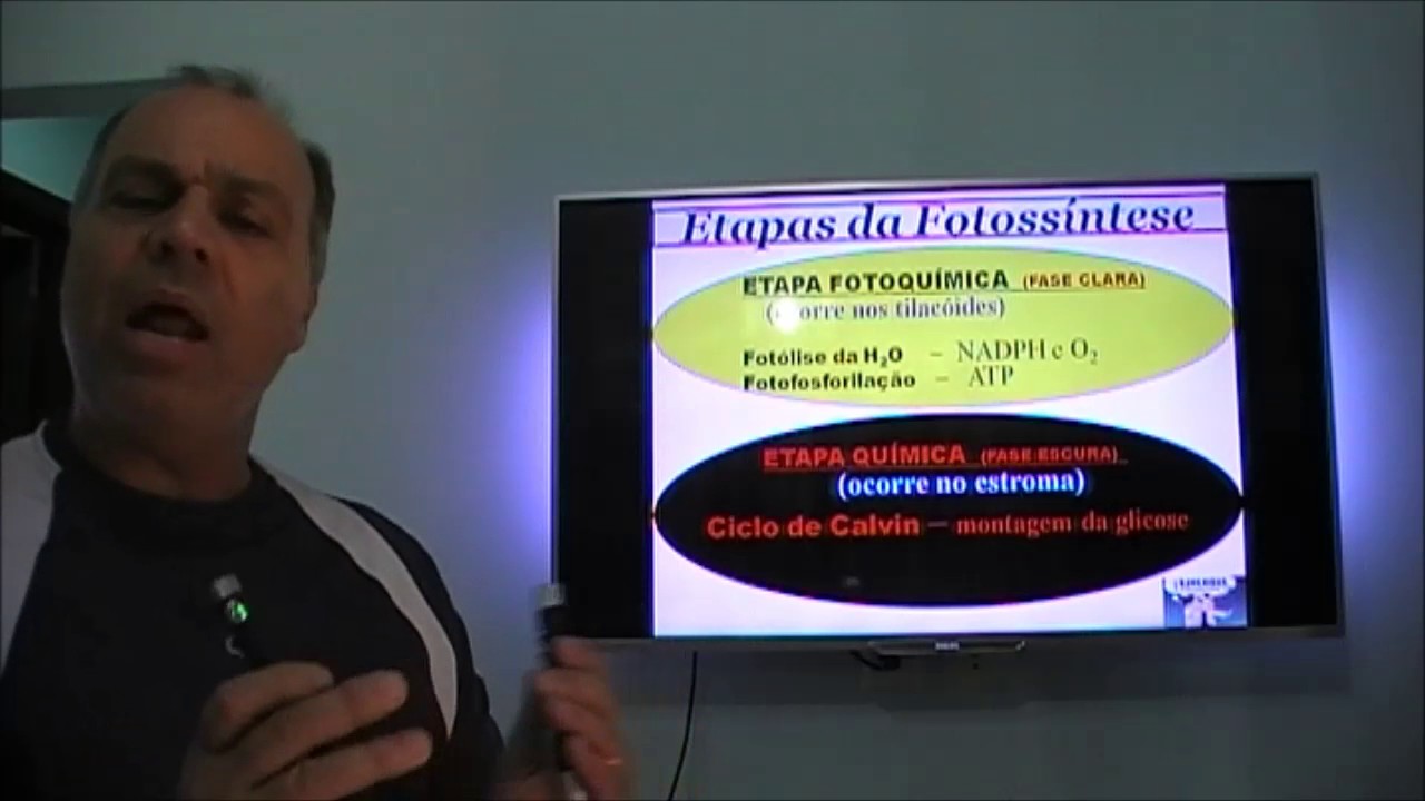 Fotossíntese parte 1   importância