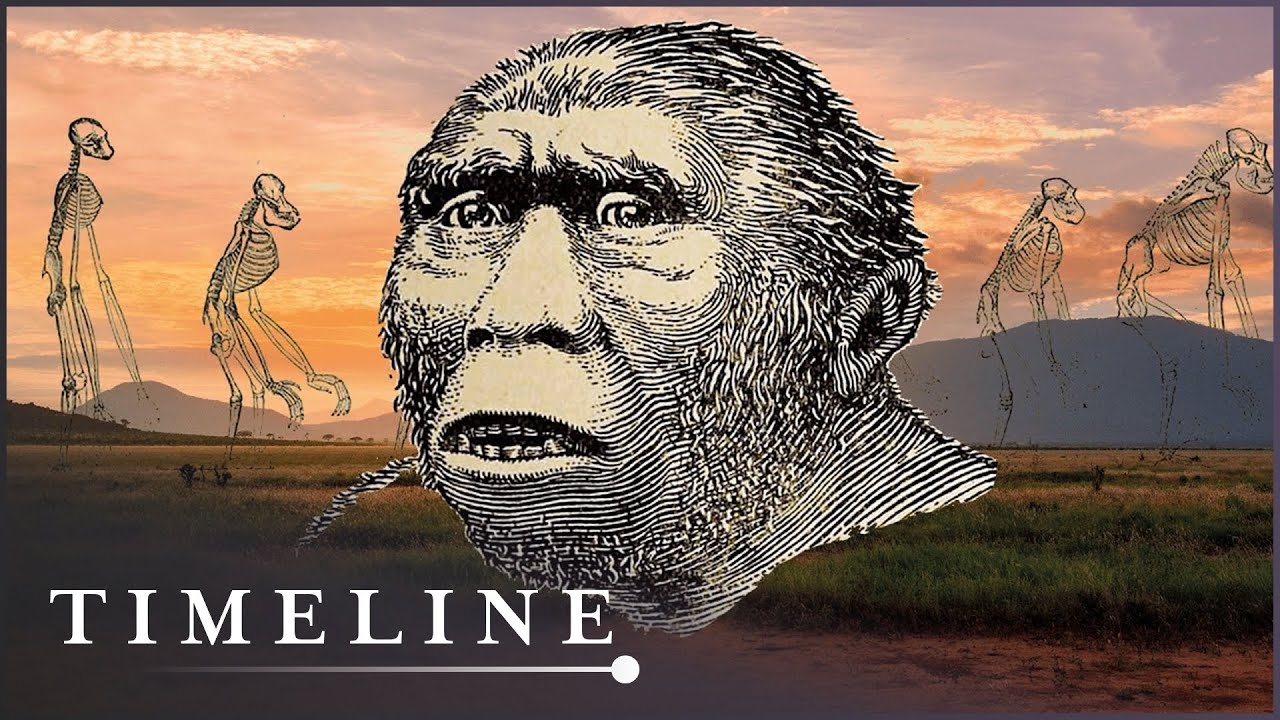 The Discovery Of The Earliest Human Ancestor | First Human | Timeline