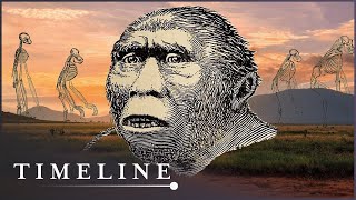 The First Human (Evolution Documentary) | Timeline