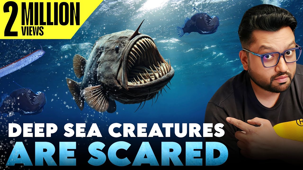 Why DEEP-SEA Creatures Are Coming Out to Surface? Leviathan is Coming?