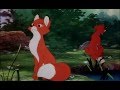 The Fox And The Hound Apreciate The Lady 1080p HD