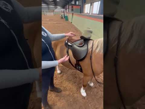 Side Saddle of the Week #12