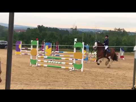 PSG Bayreuth Stilspring-WB mit Tinker Shane