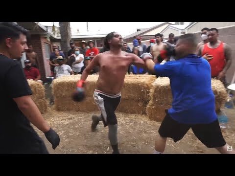 SBWC1 | Prodigy vs Taz