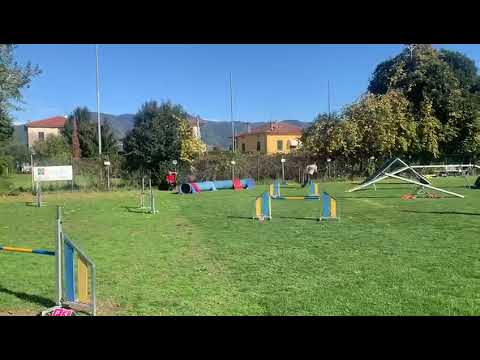 Gara 06/11/21 Agility