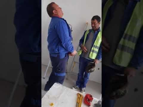 Ilie de la teleorman  dulceanca