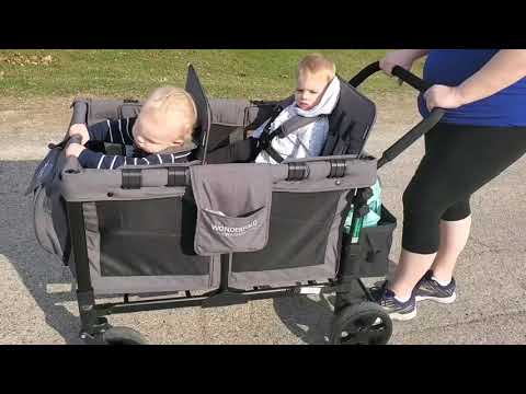 Twins in a Wonderfold wagon