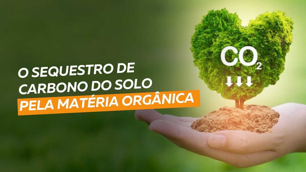 O sequestro de carbono do solo pela matéria orgânica em imagens