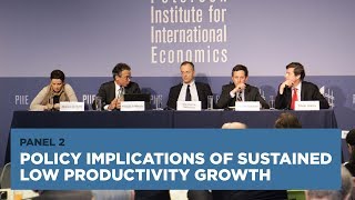 Policy Implications of Sustained Low Productivity Growth: Panel 2