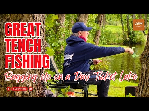 Great TENCH FISHING! | Bagging up on a day ticket lake