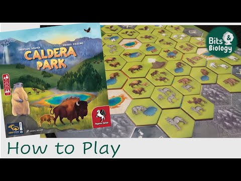 Caldera Park How to Play | Bits & Biology