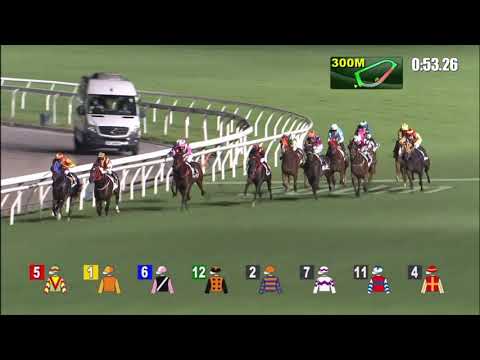 2/6/2021 (721) Red Brick Fighter - Matthew Poon