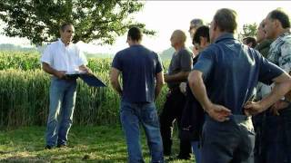 Antworten auf brennende Praxisfragen im Getreidebau