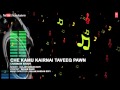 Che Kamu Kairnai Taveeq Full HD Songs T Series Kashmiri Gulam Hassan Sofi