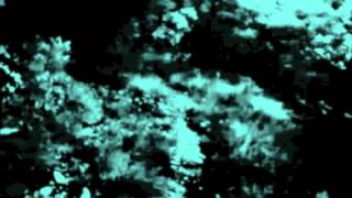 Neuss Noise - Abandoned Shades of Dead Memories