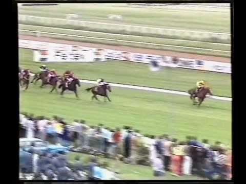 Empire Rose - 1987 NZ Cup