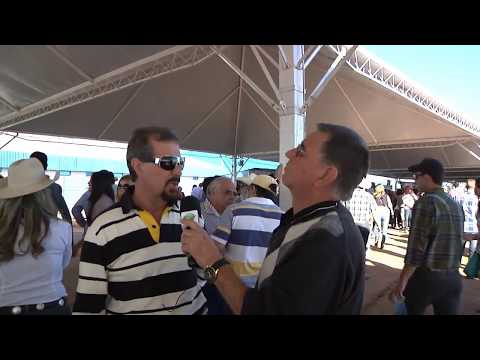 OURO FINO BOLETIM DA SEMANA 114 - 30 DE JULHO DE 2013