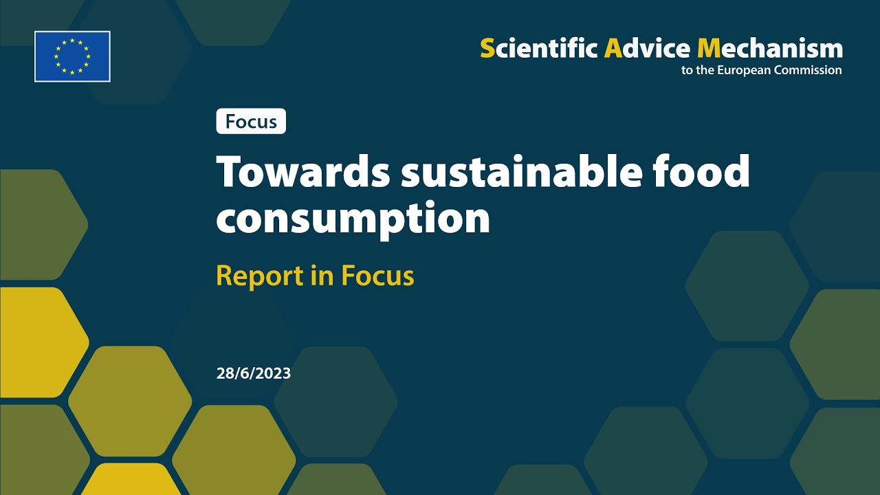 Report in Focus: Towards sustainable food consumption