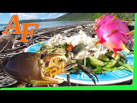 , title : 'Catch and Cook Crab Salad w Blue Crab & Mud Crab & damn Delicious Dragon Fruit EP.395'