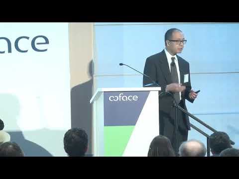 Coface North America Country Risk Meeting 2016 - Win Thin