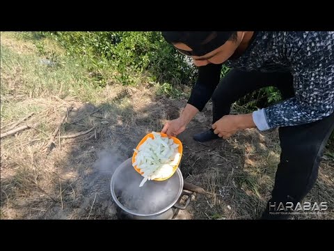 EP725-P2 - Bitanga Forage and Cook | Occ. Mindoro
